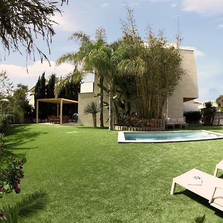 Villaspa الكوذيا المظهر الخارجي الصورة